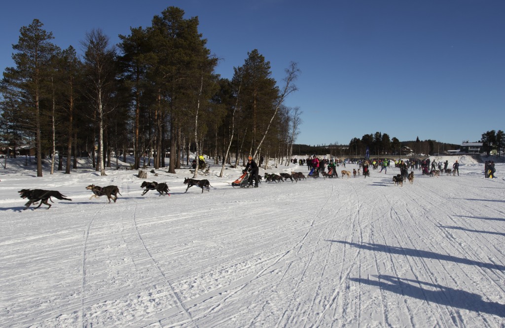 lordag009.jpg