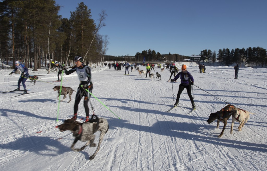 lordag012.jpg