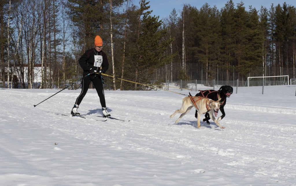 lordag033.jpg