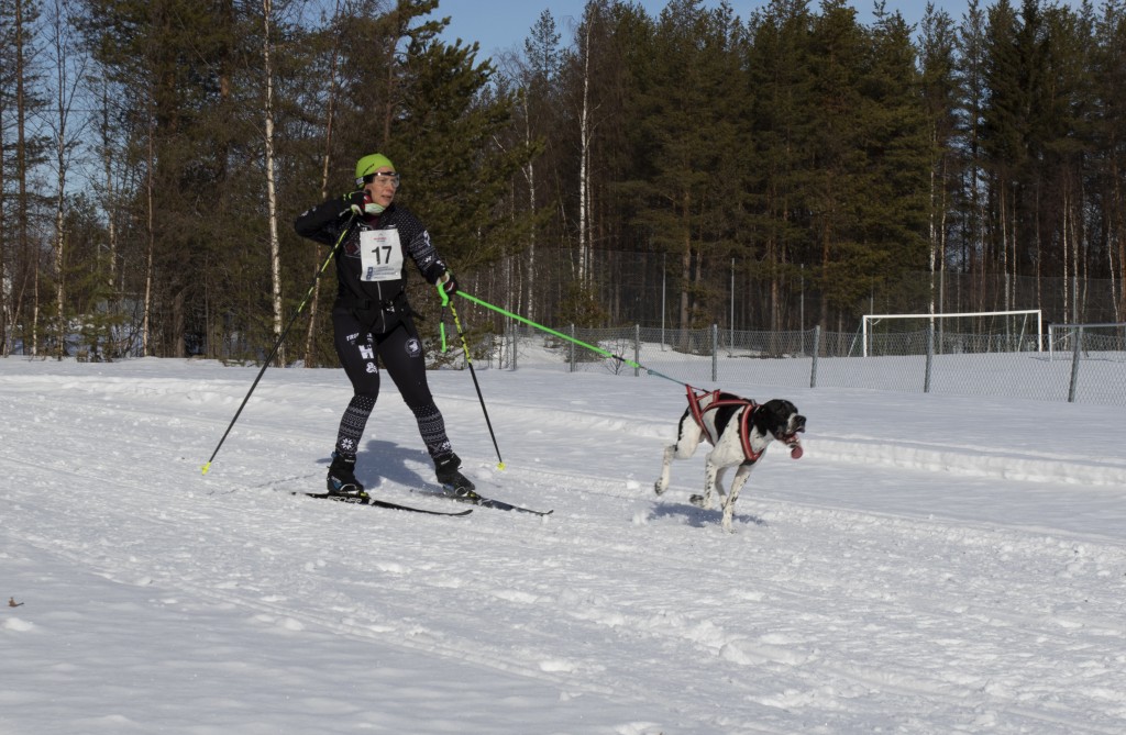 lordag039.jpg
