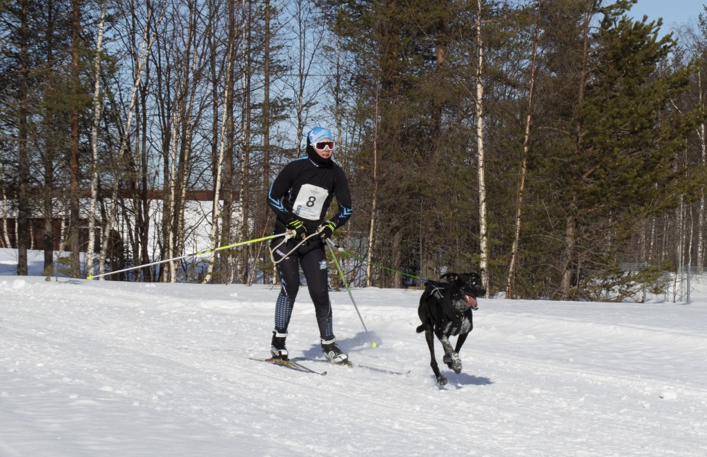 lordag040.jpg