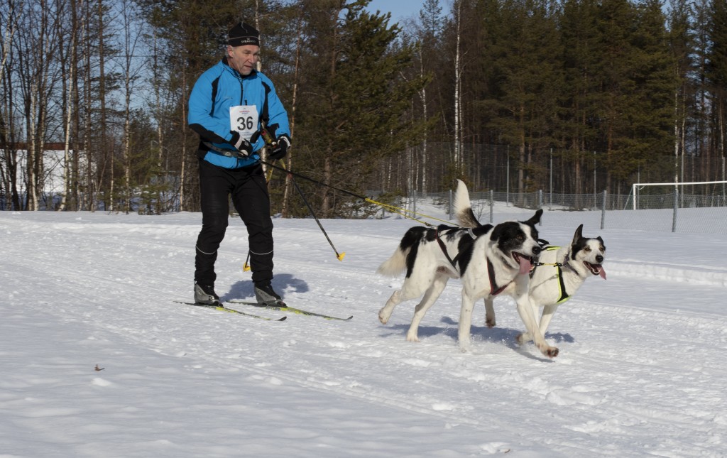 lordag045.jpg