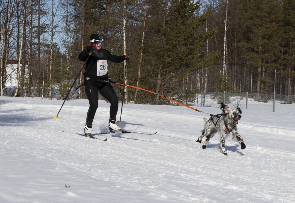 lordag050.jpg