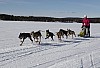 lordag023.jpg