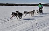 lordag026.jpg