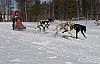 lordag029.jpg