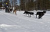 lordag030.jpg