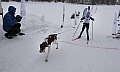 sondag043.jpg