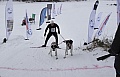sondag053.jpg