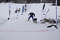 sondag059.jpg
