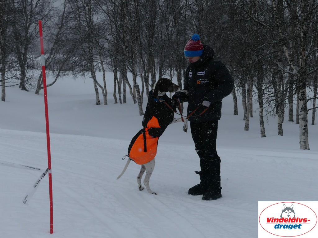 P1060458_resultat.jpg