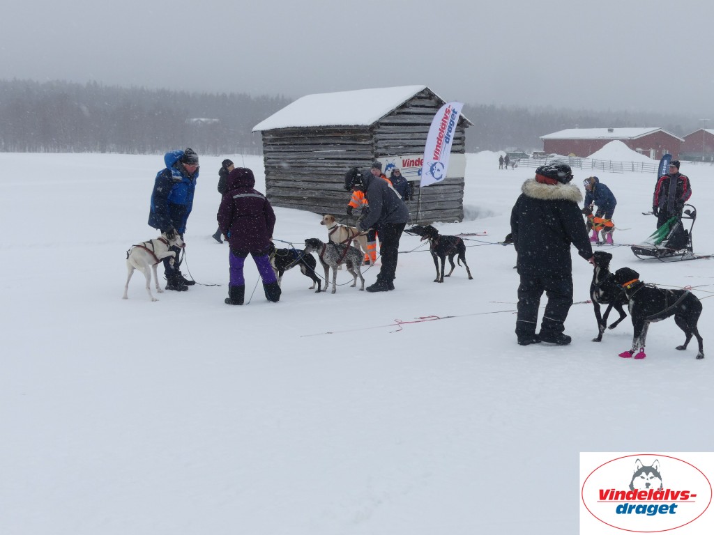 P1060493_resultat.jpg