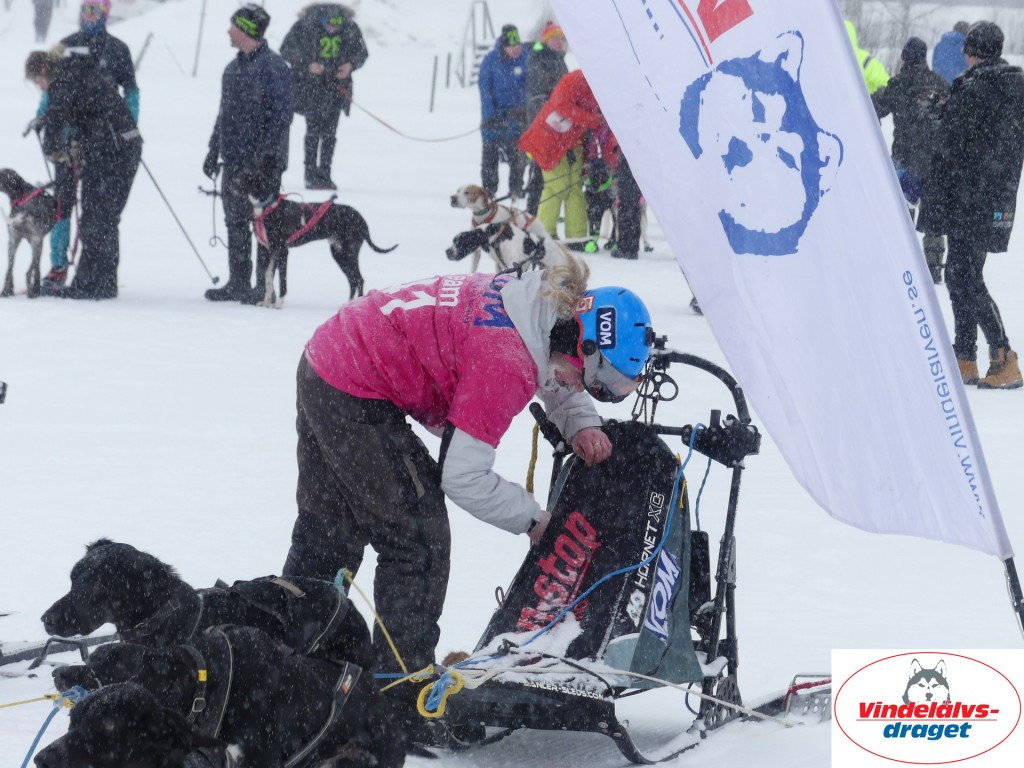 P1060494_resultat.jpg
