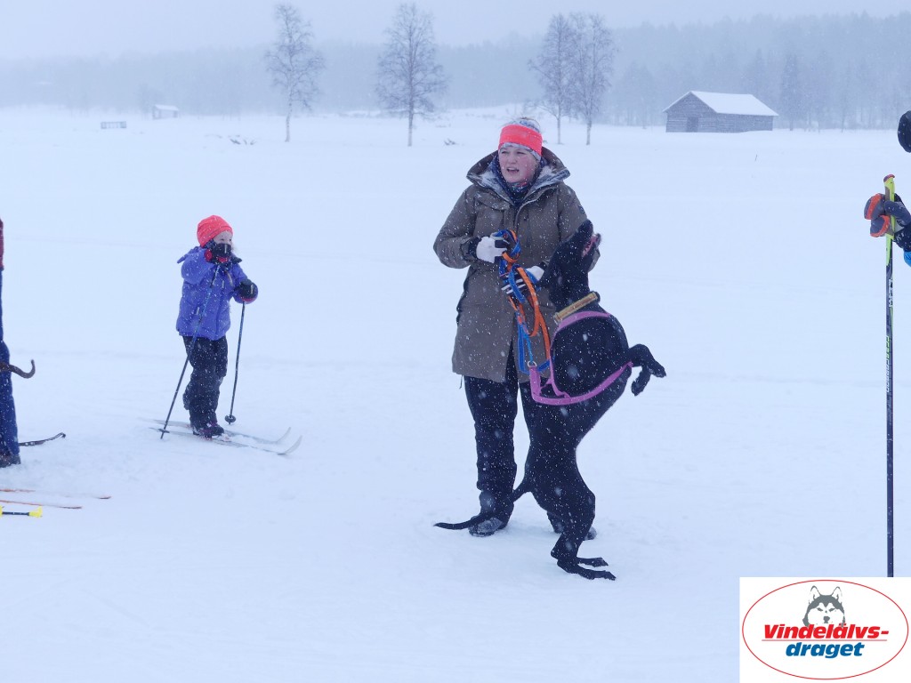 P1060505_resultat.jpg