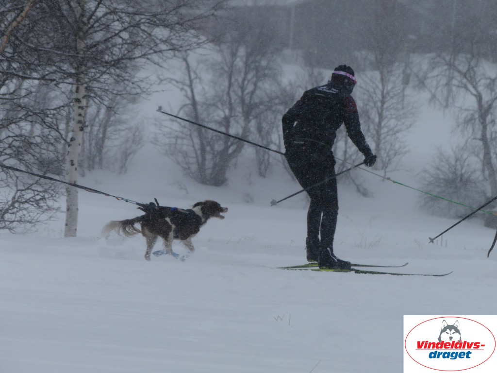 P1060515_resultat.jpg