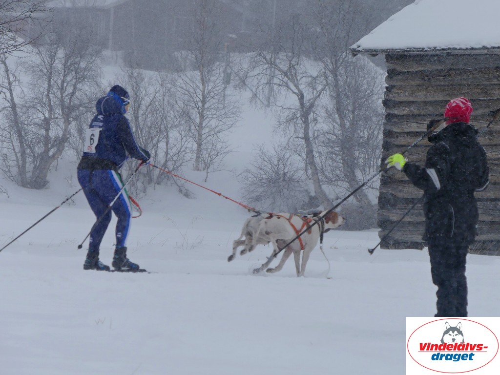 P1060517_resultat.jpg