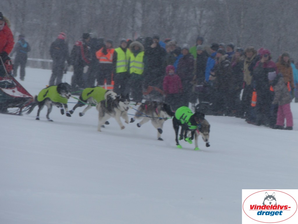 P1060519_resultat.jpg