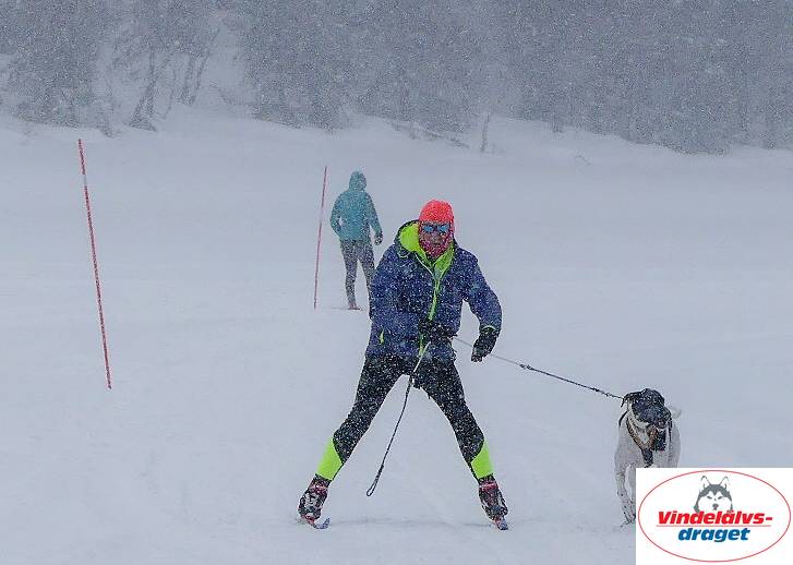 P1060525_cr_resultat.jpg