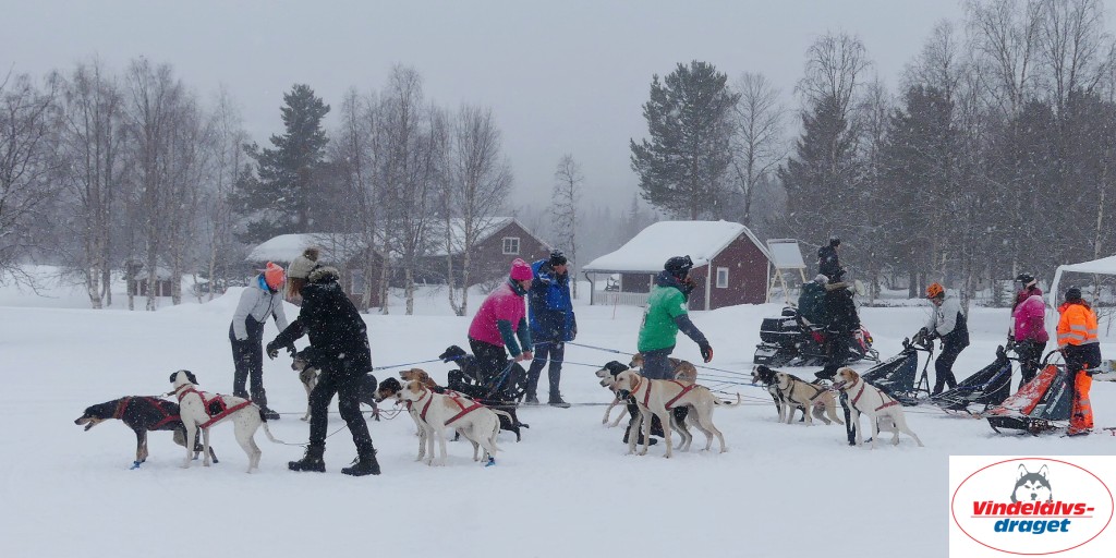P1060531_cr_resultat.jpg