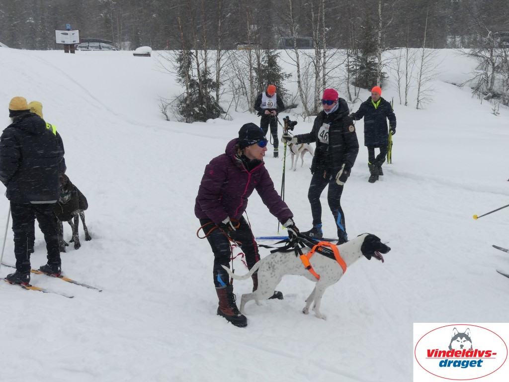 P1060579_resultat.jpg