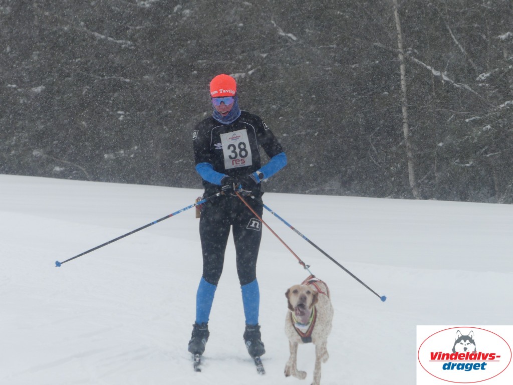 P1060650_resultat.jpg
