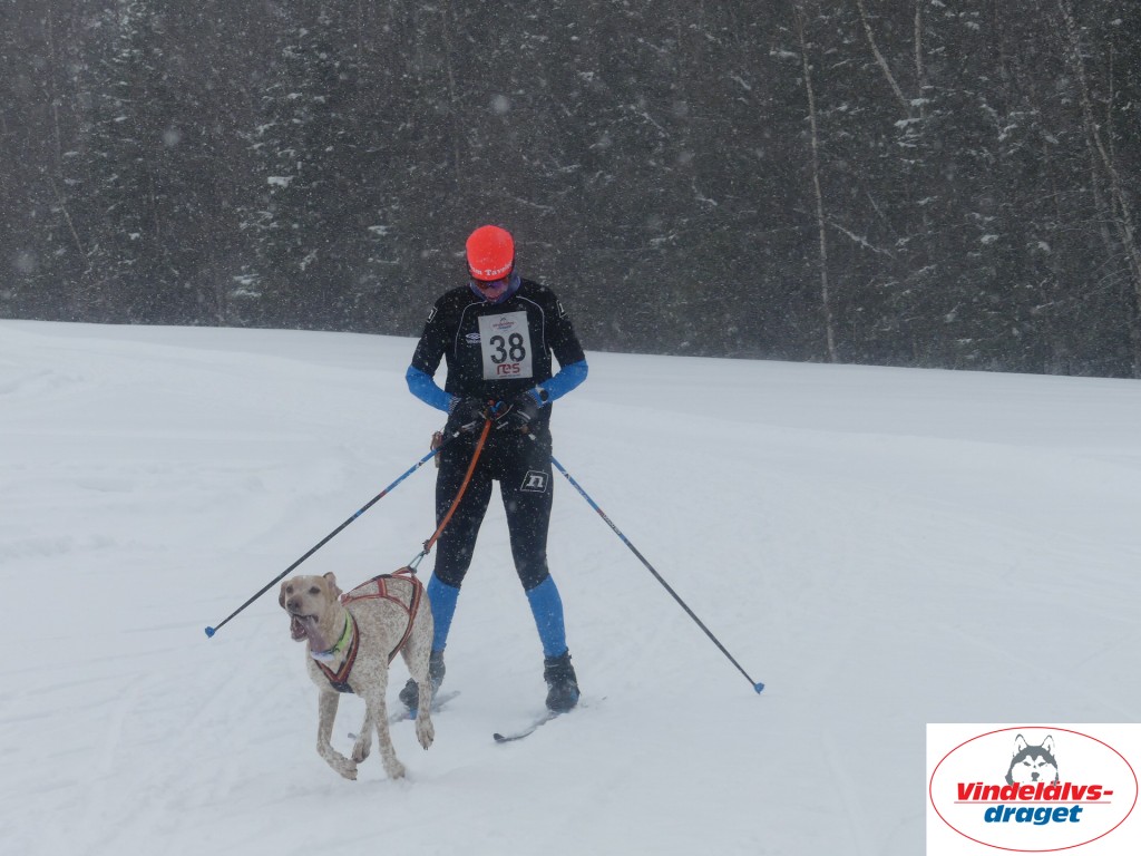 P1060651_resultat.jpg