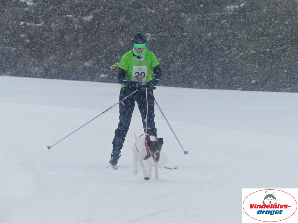 P1060662_resultat.jpg