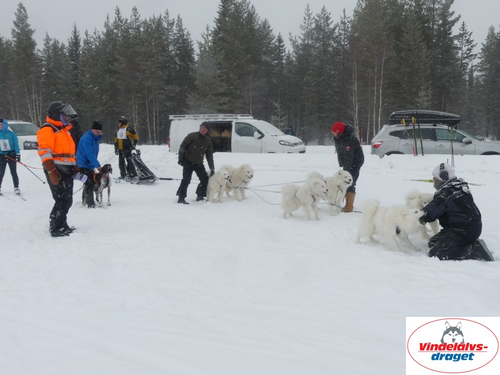 P1060674_resultat.jpg
