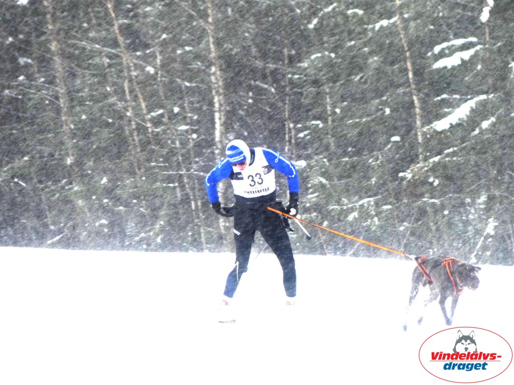 P1060683_resultat.jpg