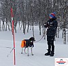P1060457_cr_resultat.jpg