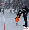 P1060458_cr_resultat.jpg