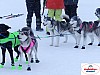 P1060502_resultat.jpg