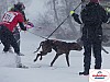 P1060512_resultat.jpg
