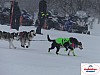 P1060520_resultat.jpg