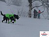 P1060521_resultat.jpg