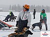 P1060546_resultat.jpg