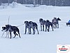 P1060563_resultat.jpg