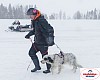 P1060688_cr_resultat.jpg