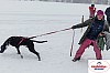 P1060694_cr_resultat.jpg