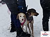 P1060705_resultat.jpg