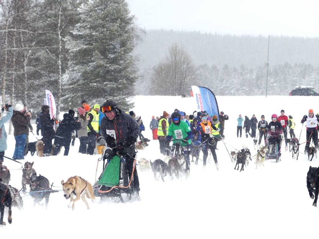 P1060771.jpg
