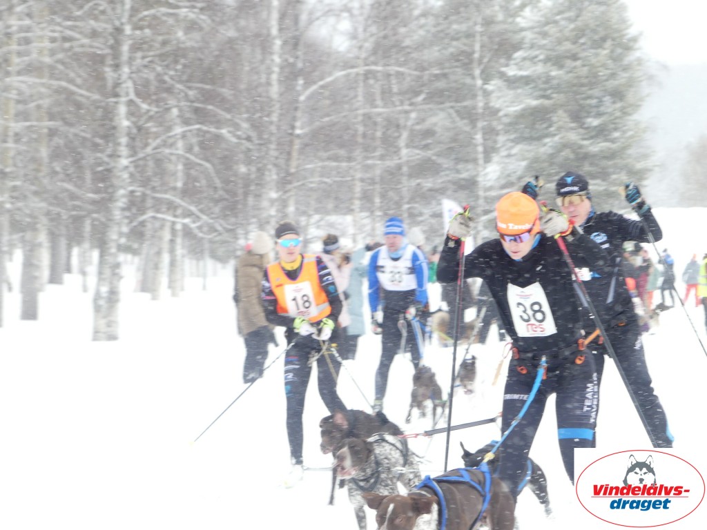 P1060774_resultat.jpg