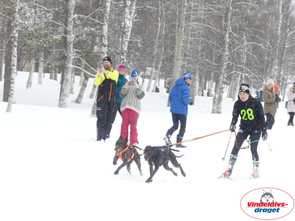 P1060780_resultat.jpg