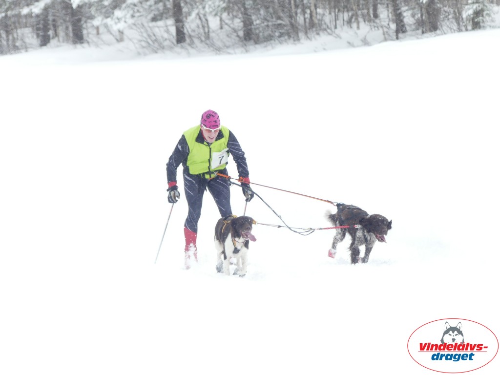 P1060788_resultat.jpg