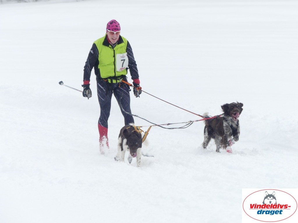 P1060789_resultat.jpg