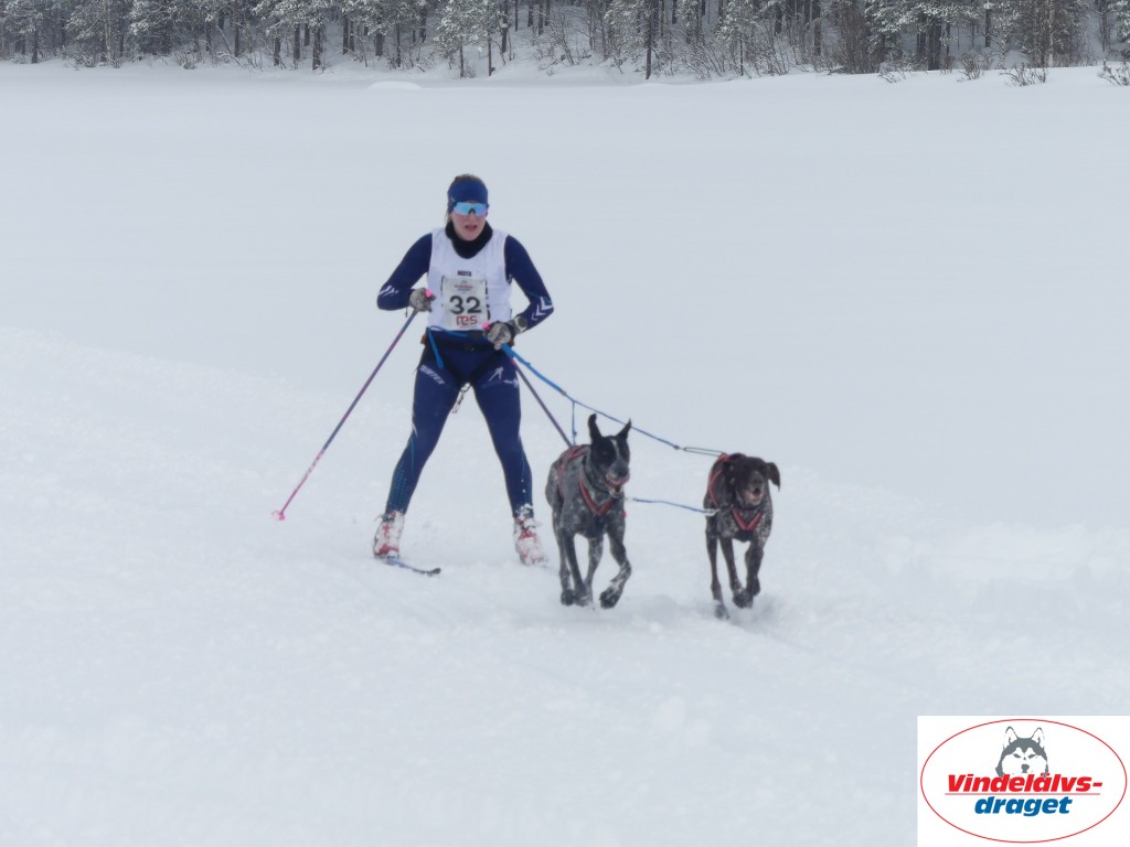 P1060797_resultat.jpg