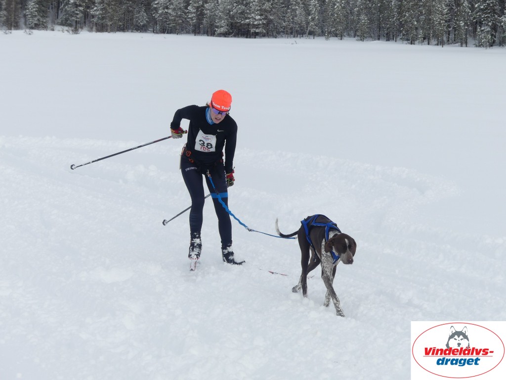 P1060818_resultat.jpg