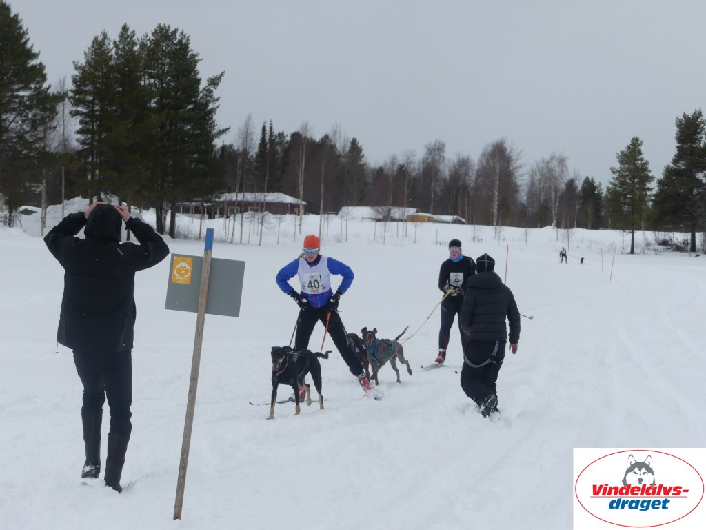 P1060835_resultat.jpg