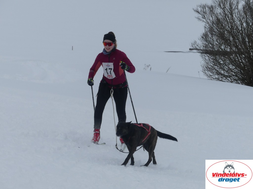 P1060863_resultat.jpg