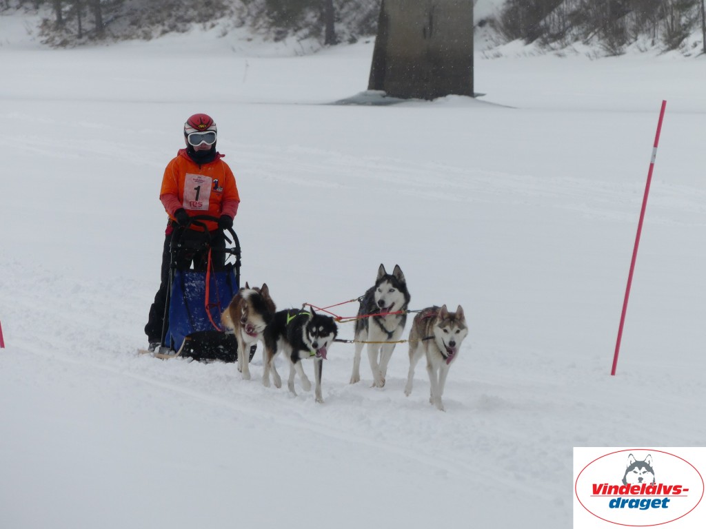 P1060884_resultat.jpg